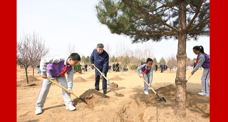 Си Цзиньпин призвал мобилизовать все общество для активного участия в лесонасаждении